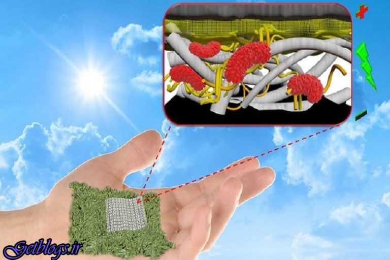 کیهان از روی صحنه بودن تئاتر همجنس بازانه خبر داد